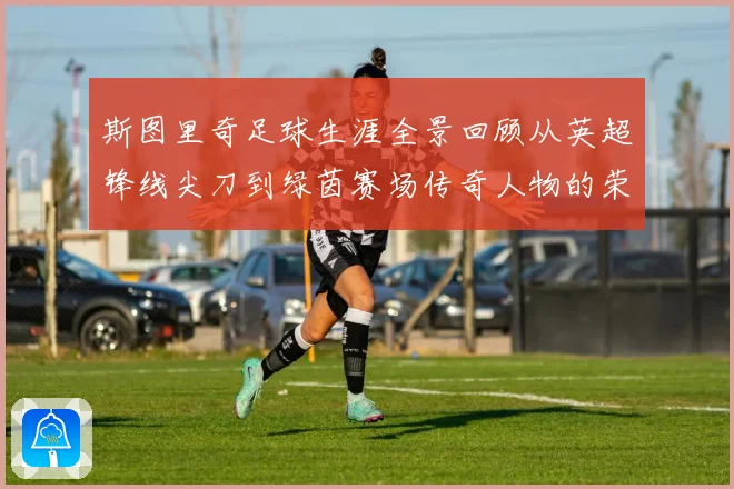 斯图里奇足球生涯全景回顾从英超锋线尖刀到绿茵赛场传奇人物的荣耀与挑战历程