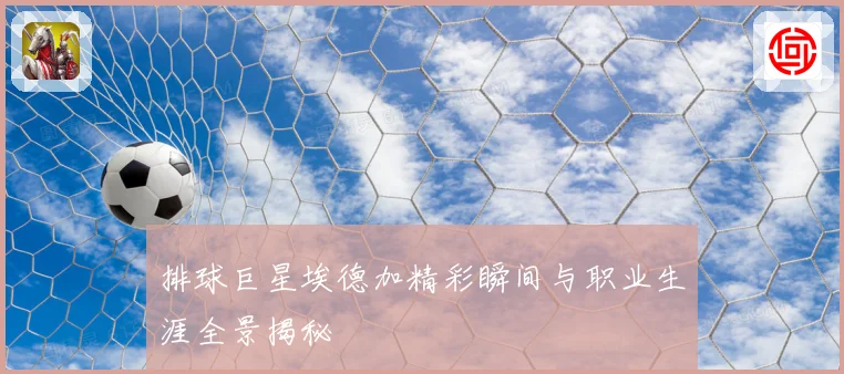 排球巨星埃德加精彩瞬间与职业生涯全景揭秘