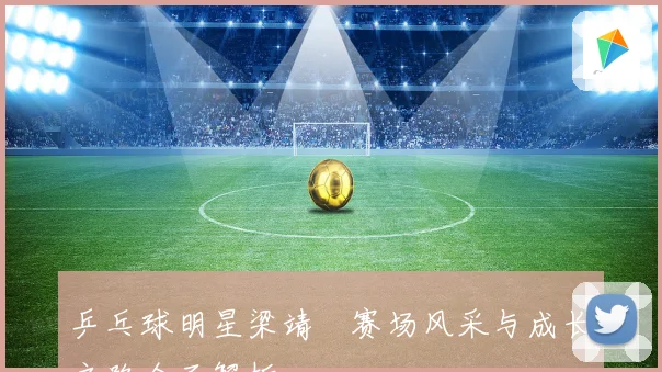 乒乓球明星梁靖崑赛场风采与成长之路全面解析