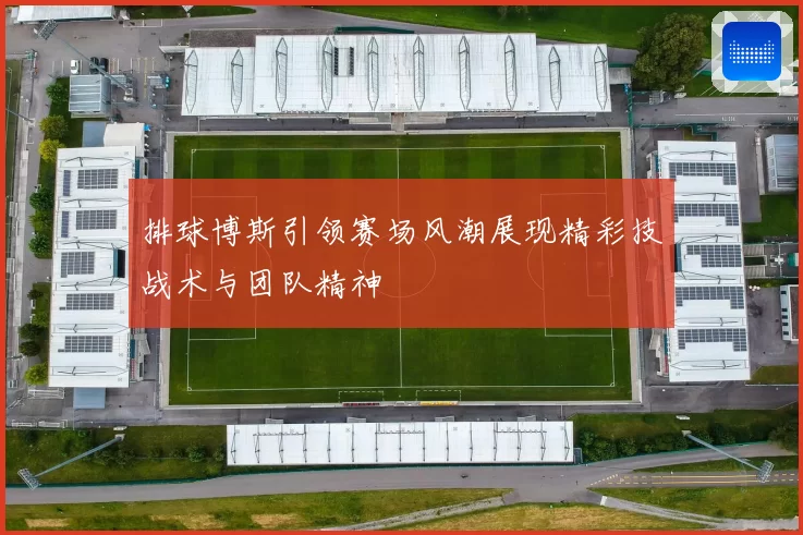 排球博斯引领赛场风潮展现精彩技战术与团队精神