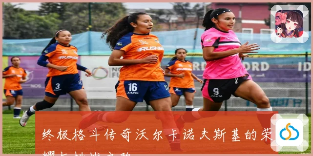 终极格斗传奇沃尔卡诺夫斯基的荣耀与挑战之路