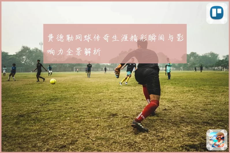 费德勒网球传奇生涯精彩瞬间与影响力全景解析