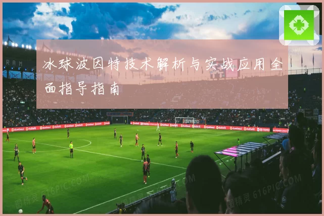 冰球波因特技术解析与实战应用全面指导指南